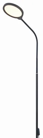 Lampada da terra dimmerabile a LED 2in1 LED/10W/230V 3000-4500-6500K nero