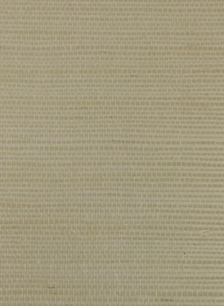 Armani Casa Carta da parati Rafia Plain - 9364