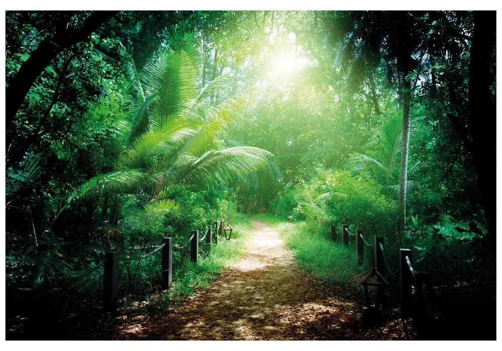 Carta da parati autoadesiva – Sentiero sull'isola Seychelles