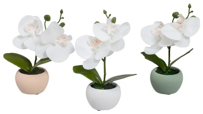 Piante artificiali in set da 3 (altezza 15 cm) Orchid - Casa Selección