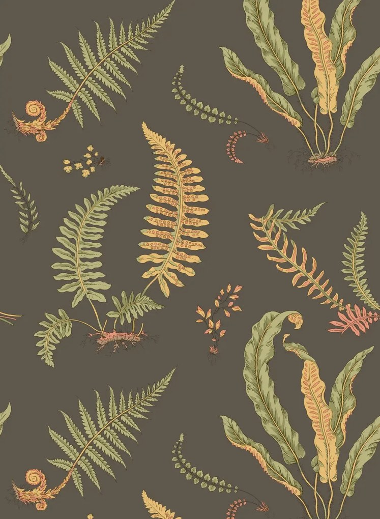 GP & J Baker Carta da parati Ferns - Charcoal