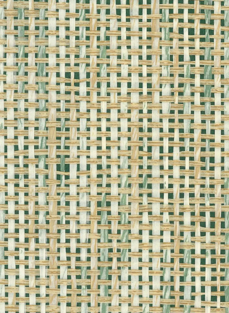 Osborne & Little Carta da parati Papyrus - Celadon