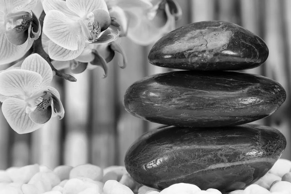Stampa su tela – Giardino Zen giapponese in bianco e nero