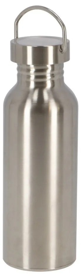 Bottiglia in acciaio inox color argento 650 ml - Esschert Design