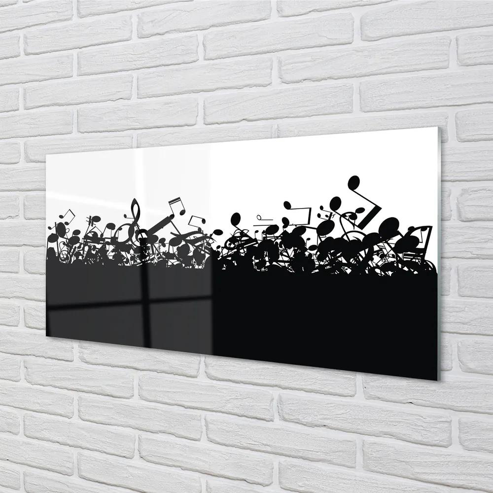 Quadro in vetro acrilico Note in bianco e nero 100x50 cm