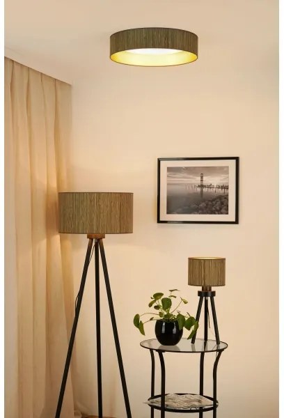 Brilagi - Lampada dimmerabile a LED VEGAS SHINE LED/24W/230V marrone/oro + telecomando