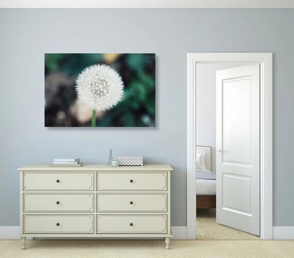 Stampa su tela – Soffione bianco soffice