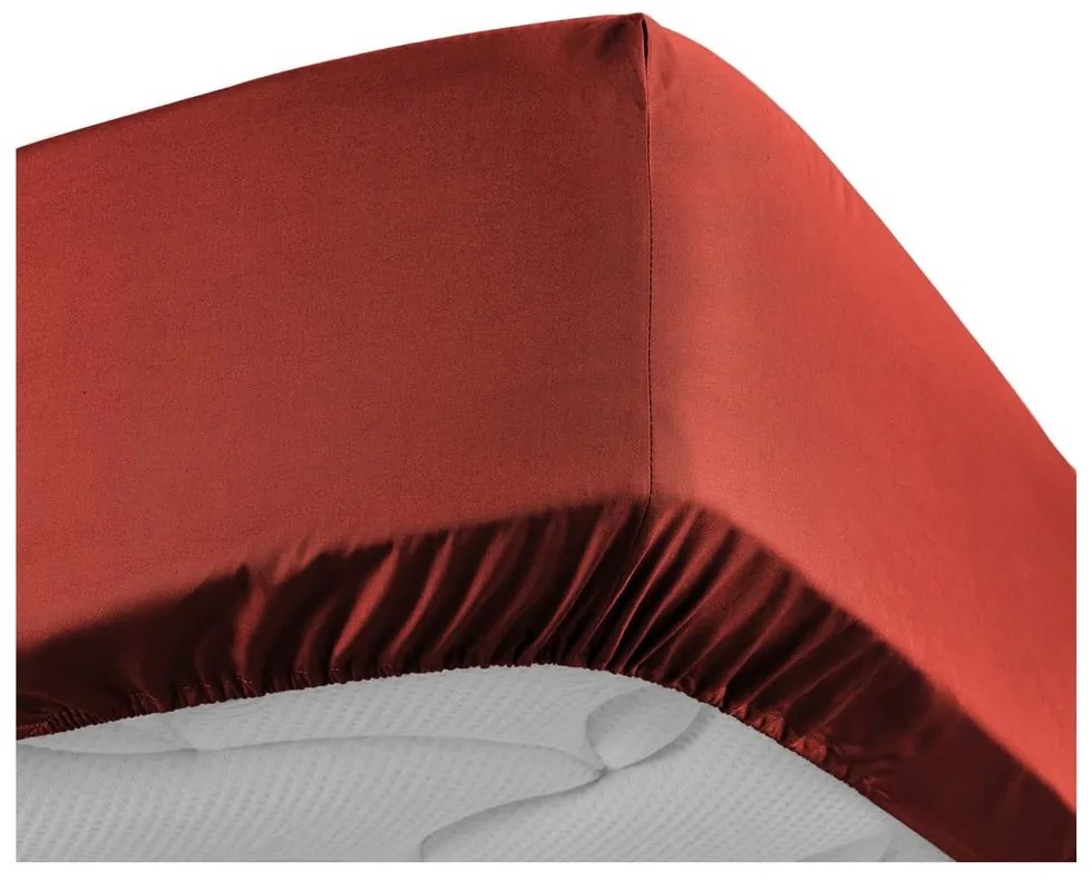 Lenzuolo elasticizzato in percalle di cotone color mattone 180x200 cm Percaline - douceur d'intérieur