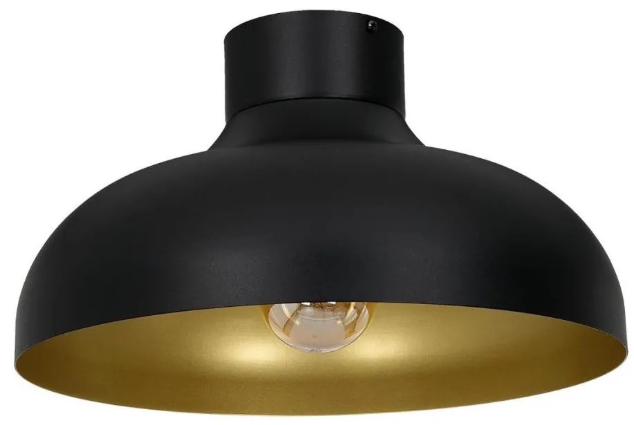 Lampadario a plafone BASCA 1xE27/60W/230V