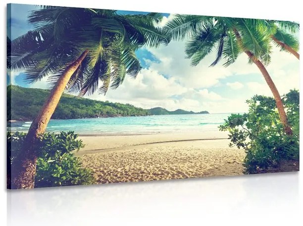 Quadro su tela – Tramonto sull'isola delle Seychelles