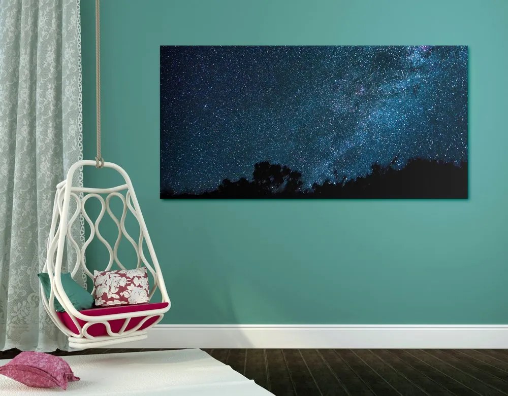 Quadro su tela – Via Lattea tra le stelle