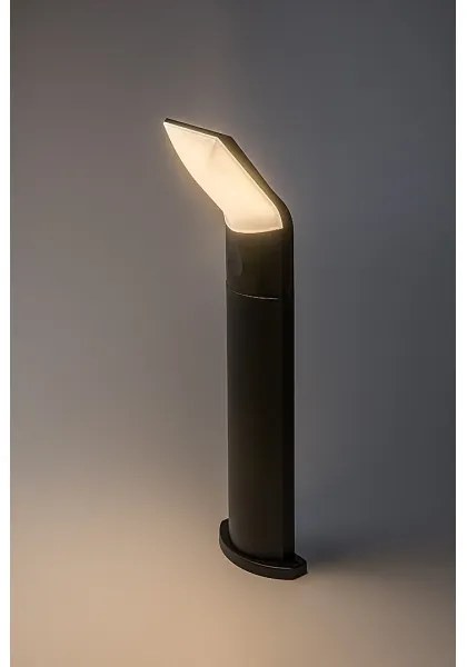 Rabalux 77173 - Lampada LED da esterno TOLNA LED/10W/230V IP54