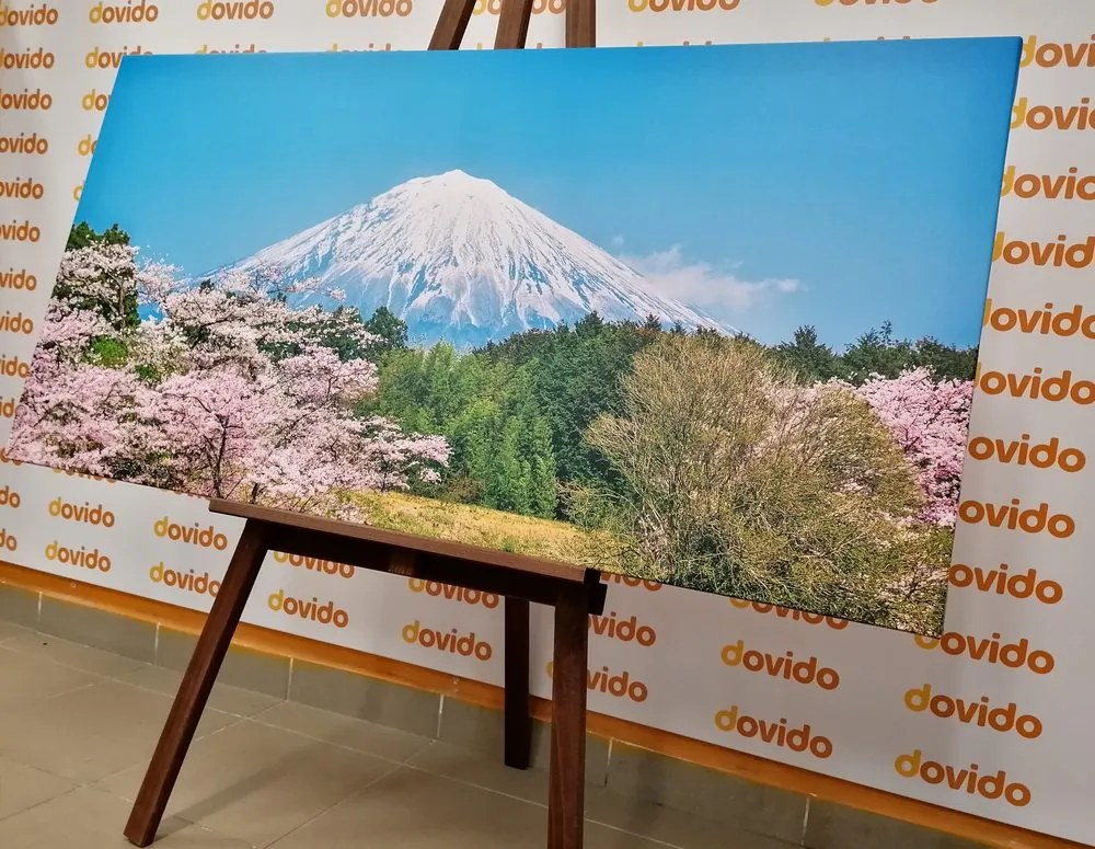 Quadro su tela – Monte Fuji