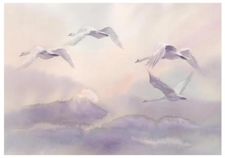 Fotomurale adesivo Flying Swans
