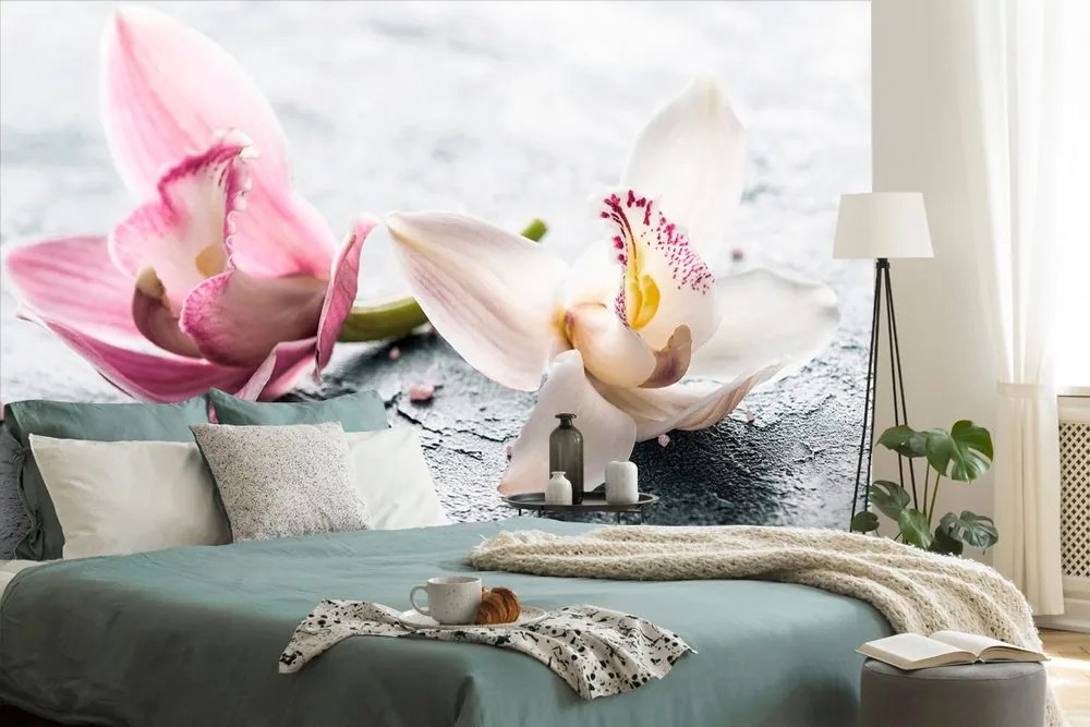 Carta da parati – Fiori di orchidee