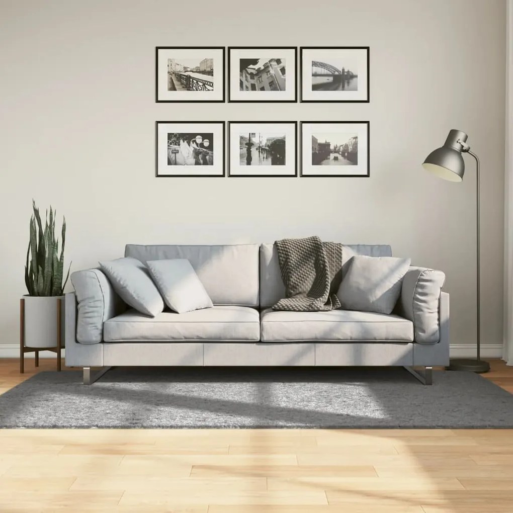 Tappeto Shaggy Pamplona A Pelo Lungo Moderno Grigio 100x200 Cm /