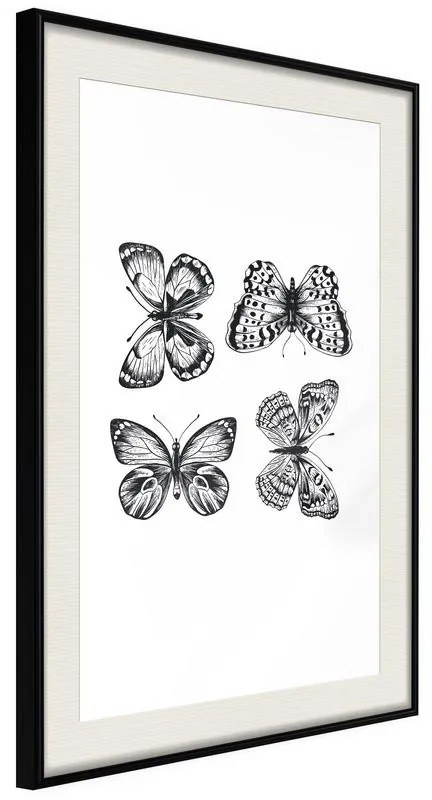 Poster  Butterfly Collection III  Cornice Quadri Cornice nera con pass-partout, Larghezza x Altezza Home decor 30x45