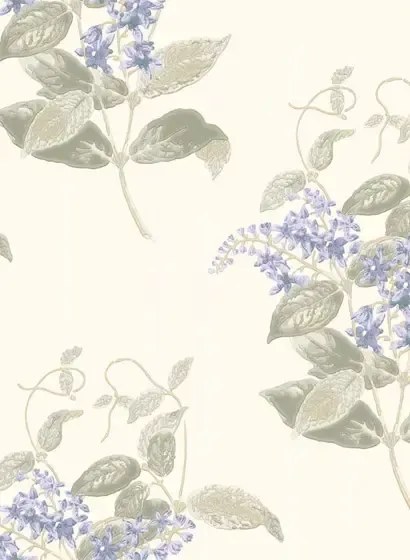 Tapete Madras Violet von Cole & Son - Violet & Grey