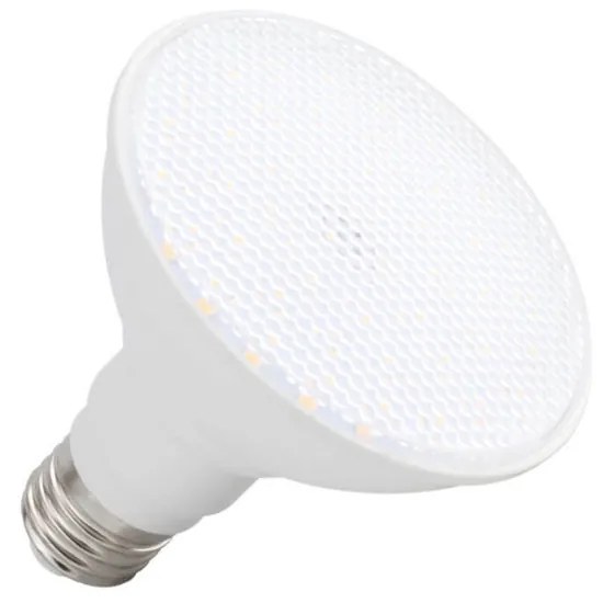 Lampada LED PAR30 12W 110° Colore Bianco Caldo 2.700K