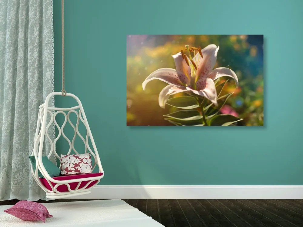 Quadro su tela – Splendido fiore con tocco retrò