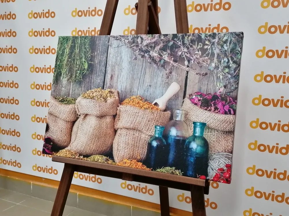 Quadro su tela – Erbe medicinali