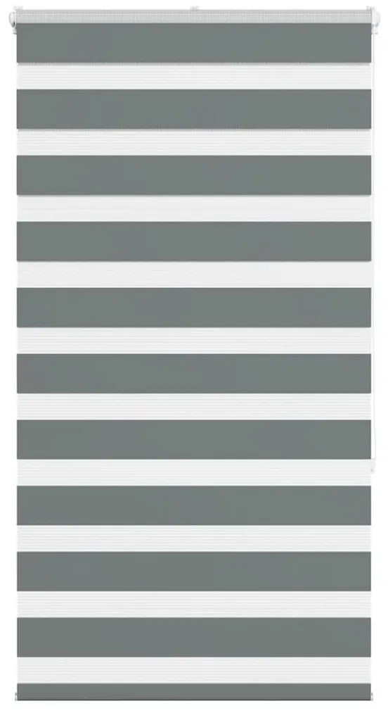 Tenda A Rullo Zebra Larghezza Tessuto 65,9 Cm Poliestere /