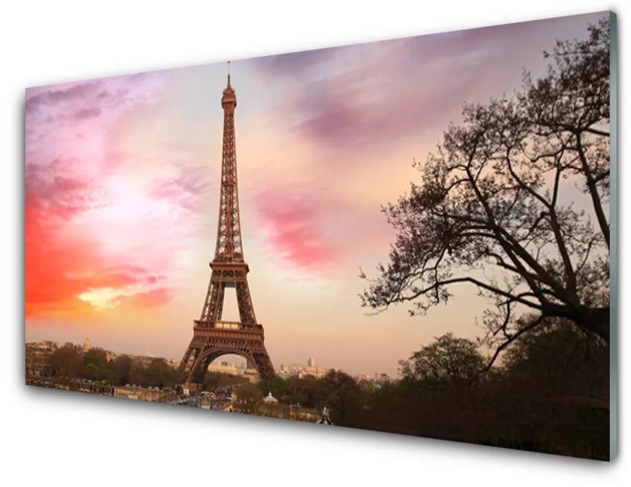 Quadro vetro acrilico Architettura della torre Eiffel 100x50 cm 2 appendini