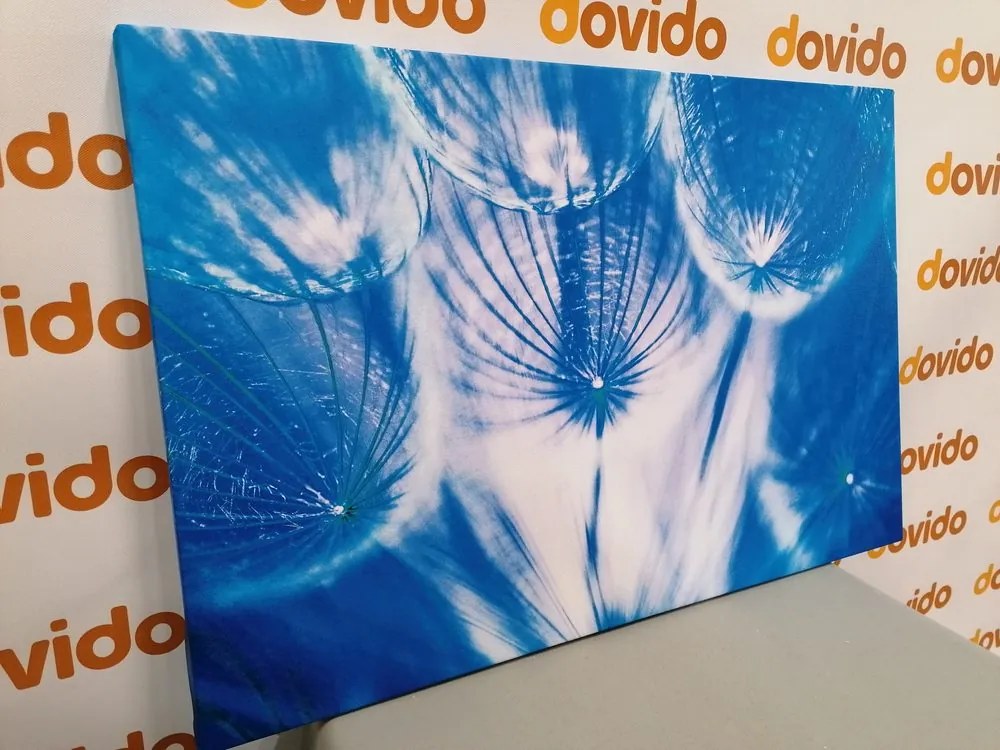 Stampa su tela – Soffione in tonalità blu