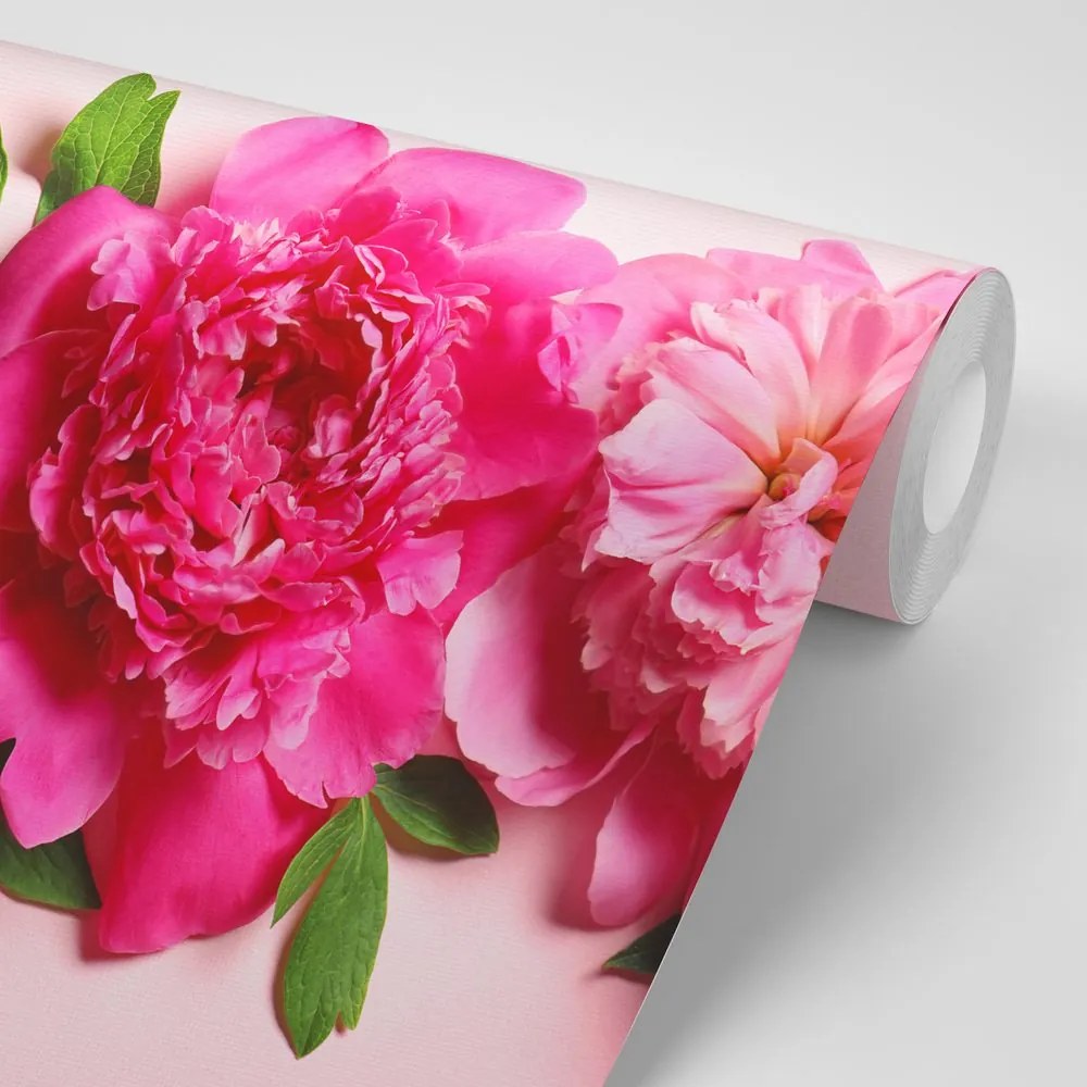 Carta da parati – Peonie in rosa