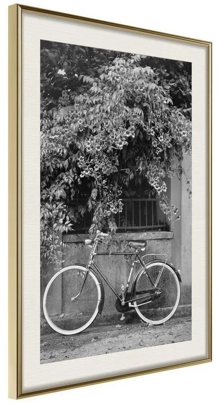 Poster Bicycle with White Tires