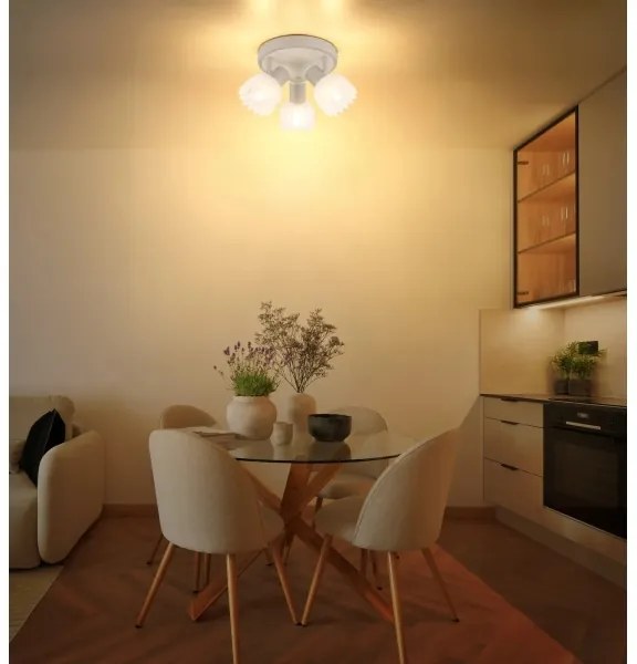 Globo 54317-3 - Faretto PLANTA 3xE14/40W/230V