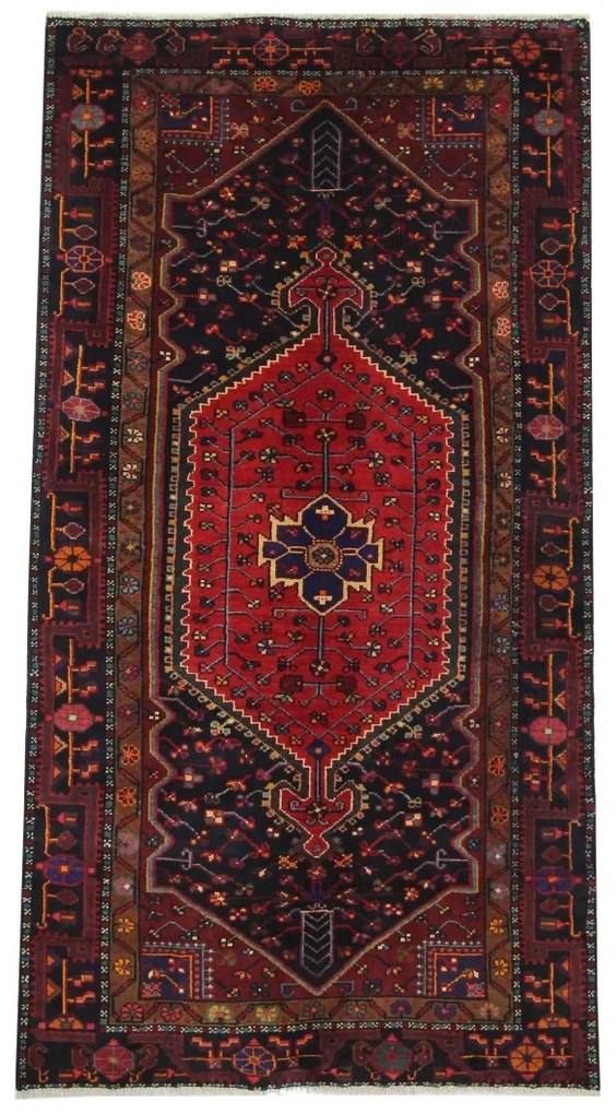 Hamedan Tappeto 130 x 240 (Iran)