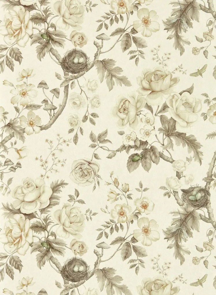 Sanderson Carta da parati Tansy Bloom - Oyster