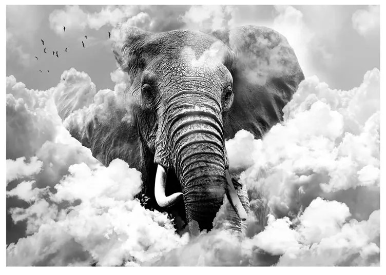 Fotomurale  Elephant in the Clouds (Black and White)  Colore bianco e nero, Dimensioni e Misure 150x105