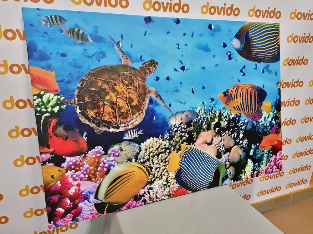 Stampa su tela – Mondo sottomarino