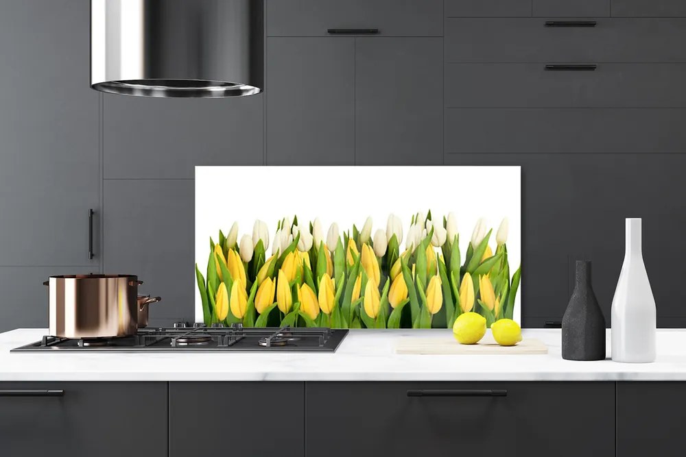 Pannello paraschizzi cucina Tulipani, fiori, piante 140x70 cm