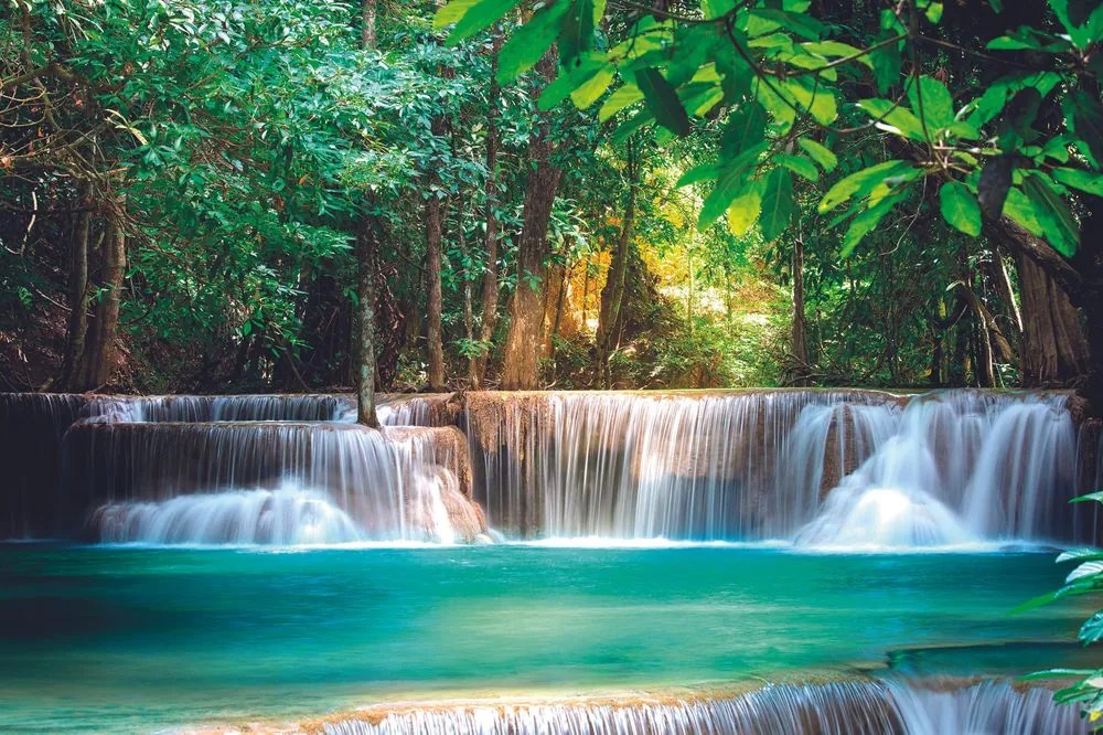 Carta da parati autoadesiva – Risveglio della natura
