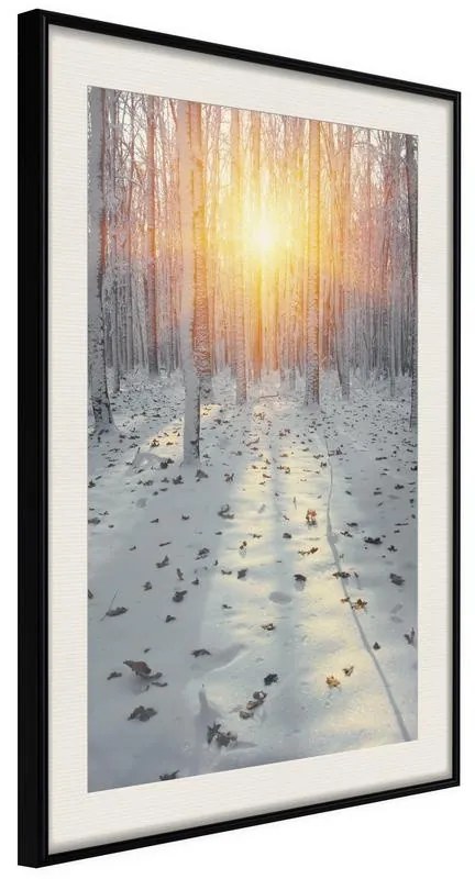 Poster Frosty Sunset