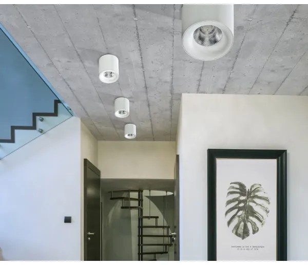 Azzardo AZ2845 - Plafoniera LED MANE 1xLED/10W/230V