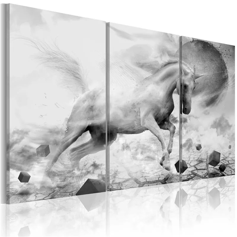 Quadro Unicorno ai confini del mondo  Colore bianco e nero, Dimensioni e Misure 120x80