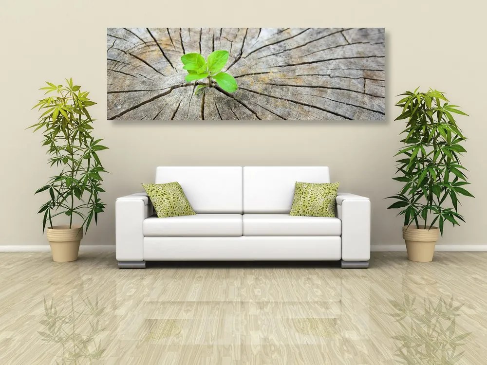 Quadro su tela – Nascita di una nuova vita