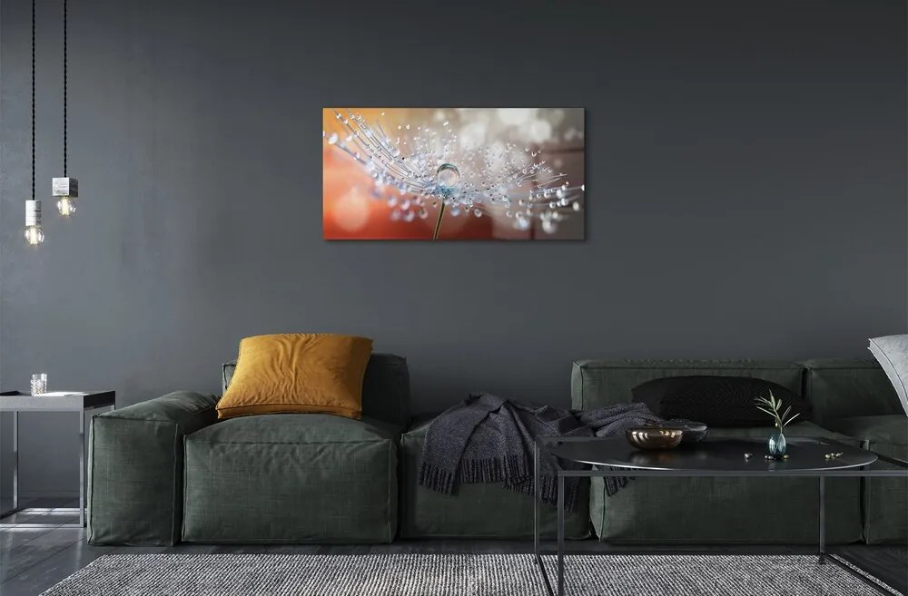 Quadro su vetro Macro gocce di mosconi 100x50 cm 2 appendini