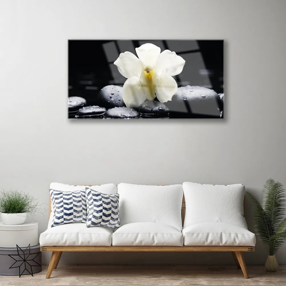 Quadro in vetro Pianta di orchidea da fiore 100x50 cm