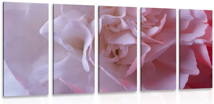 Quadri 5 pezzi – Petali di garofano