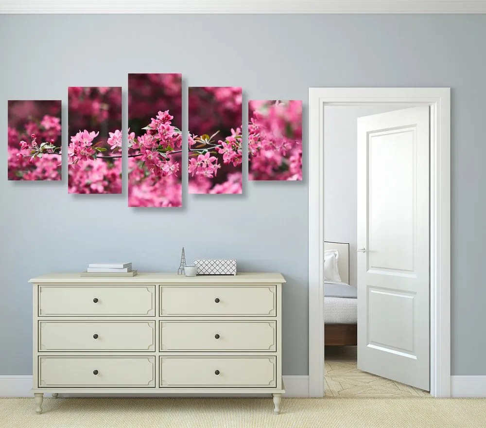 Quadri 5 pezzi – Fiore di ciliegio dettagliato