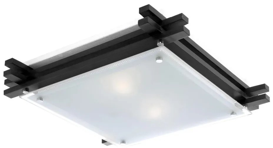 GLOBO 48324-2 - Plafoniera EDISON 2xE27/60W/230V