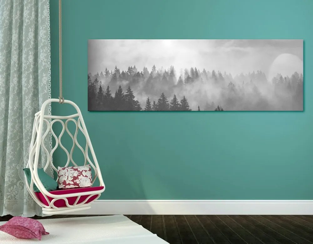 Quadro su tela – Nebbia sopra la foresta in bianco e nero