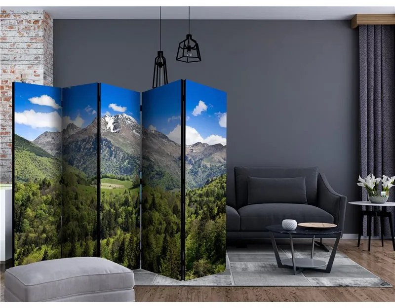 Paravento Holiday in the mountains II [Room Dividers]