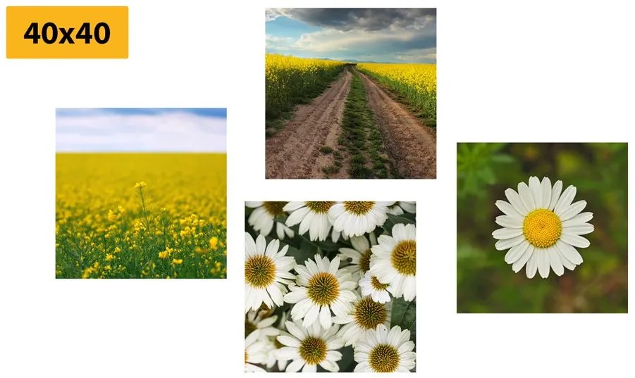 Set di quadri – Prato pieno di fiori