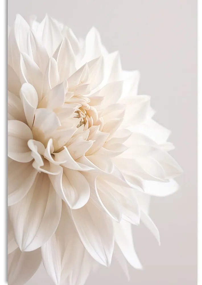 Stampa su tela – Petali bianchi